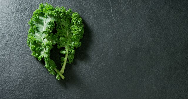 A fresh bunch of curly kale is placed on a dark slate surface, with copy space. Kale is a nutritious leafy green vegetable often used in salads and smoothies for its health benefits.
