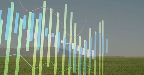 Abstract Data Visualization over Serene Grassland Landscape