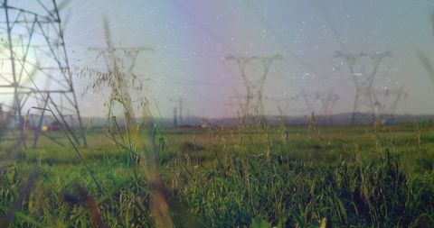 Contrasting Duality of Nature and Technology - Download Free Stock Images Pikwizard.com