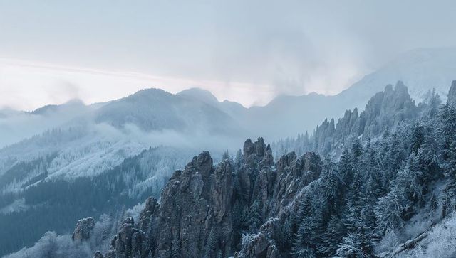 Misty snow-dusted alpine ridge rising with jagged rock spires and frosted conifers