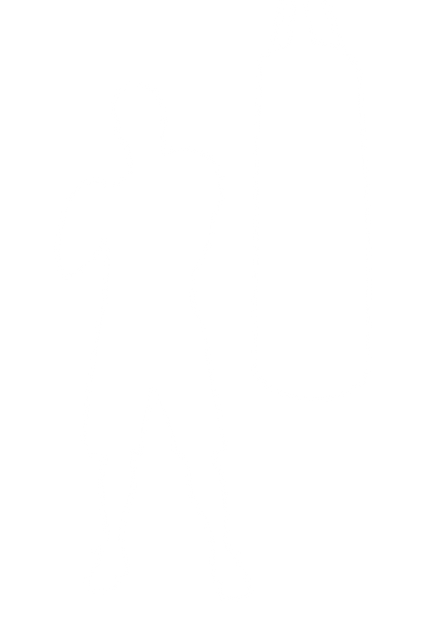 Boxer and Punching Bag Silhouette on Transparent Background - Download Free Stock Videos Pikwizard.com