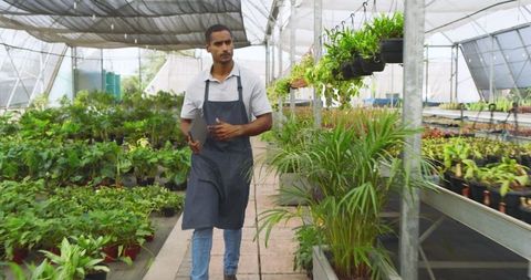 Horticulturist Using Tablet to Organize Greenhouse Plants