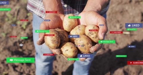 African american farmer holding fresh potatoes with floating social media badges
