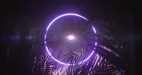 Neon Light Circle with Radiating Energy on Black Background