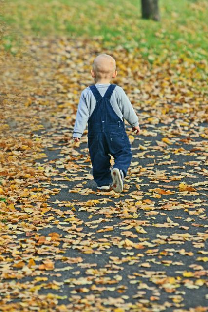 Toddler in overalls walking on a leaf-covered path in autumn park. Can be used for themes of childhood, growth, nature exploration, innocence, outdoor activities, seasonal changes, family moments, and early development.