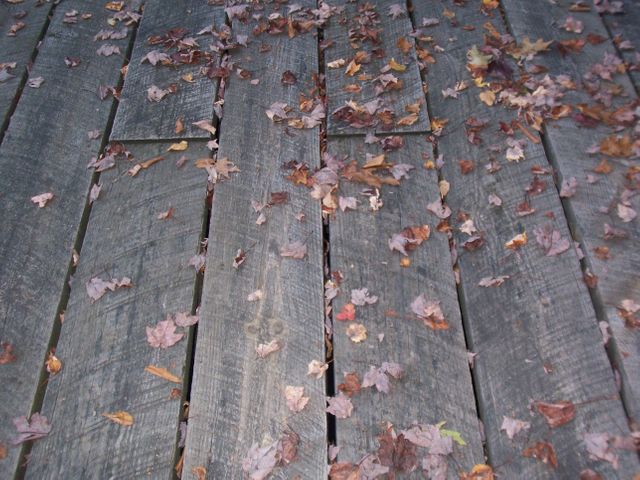 Wooden Deck with Fallen Autumn Leaves - Download Free Stock Photos Pikwizard.com