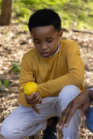 African american boy examining lemon in woodland while adult points, outdoor learning and nature dis