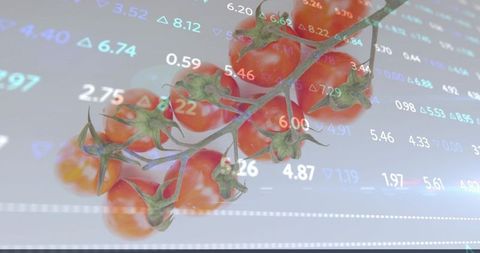 Growing market of cherry tomatoes with financial data overlay and glossy vine closeup