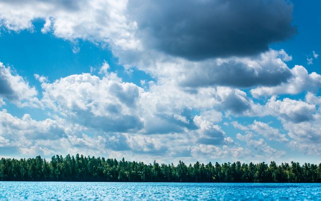 Serene Lake with Dense Forest and Fluffy Clouds - Download Free Stock Photos Pikwizard.com