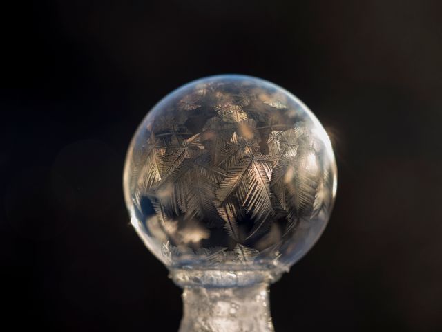 Frozen Bubble with Intricate Frost Patterns in Winter - Download Free Stock Photos Pikwizard.com