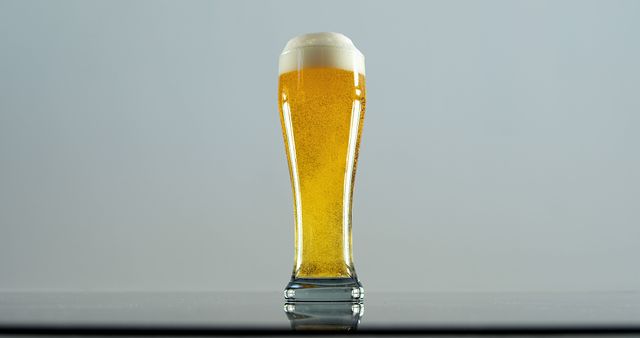 Tall Glass of Fresh Beer with Frothy Head on Gradient Background - Download Free Stock Images Pikwizard.com