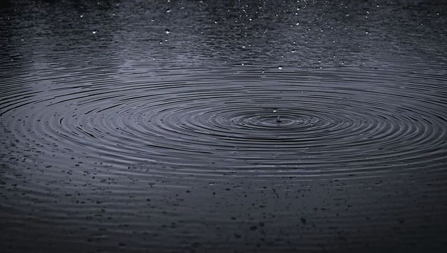 Rippling concentric rings forming around raindrop crown on dark pond surface