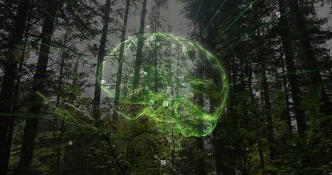Holographic neon brain projecting emerald beams over misty conifer forest