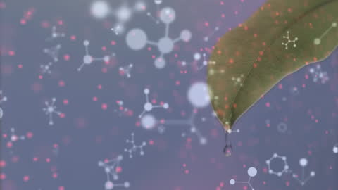 Molecules and DNA Across Leaf in Scientific Interface Concept