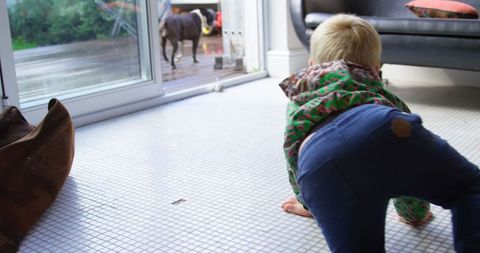 Child Watching Pet Dog Indoors on Tile Floor