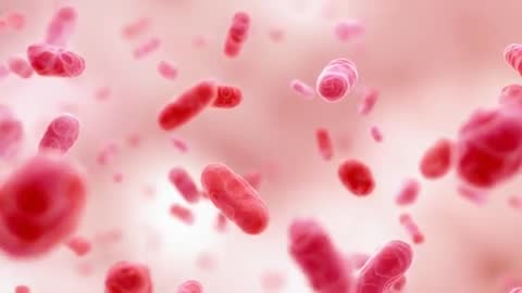 Microscopic Gliding Evolution of Pink-Red Microbes