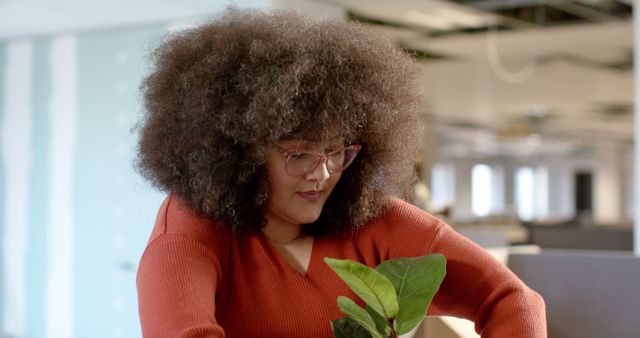 Woman with Curly Hair Planting Seedling in Office - Download Free Stock Images Pikwizard.com