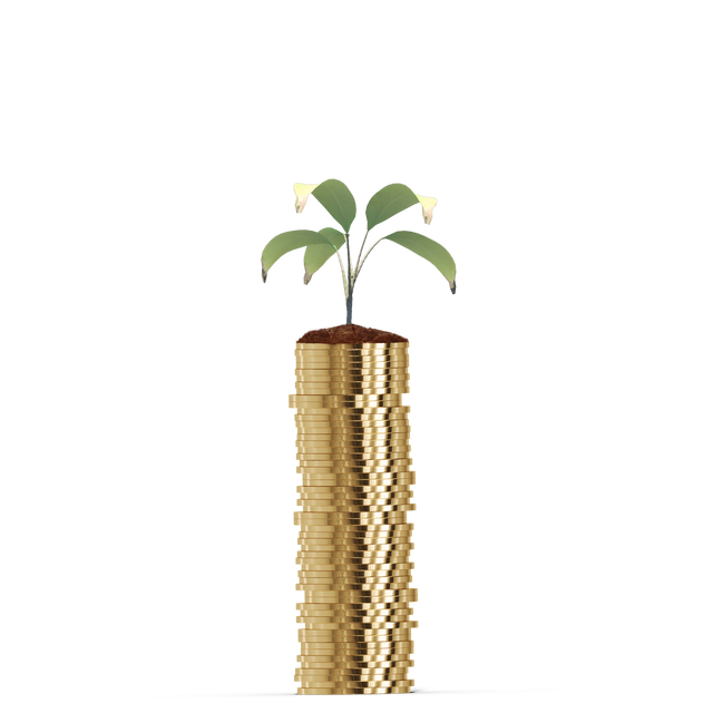 Plant Growing in Soil on Stack of Gold Coins Isolated with Transparent Background - Download Free Stock Videos Pikwizard.com