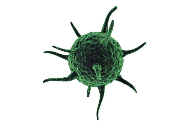 3D Green Bacteria or Virus on Transparent Background - Download Free Stock Videos Pikwizard.com