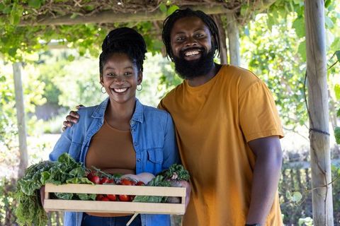 Smiling couple harvesting fresh garden vegetables holding wooden crate under pergola