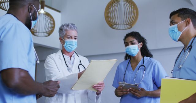 Diverse group of male and female doctors in face masks looking at files and discussing in hospital - Download Free Stock Photos Pikwizard.com
