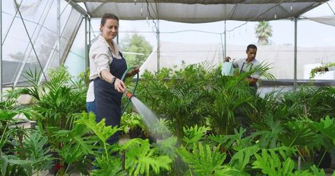 Diverse Employees Maintaining Tropical Greenhouse Plants