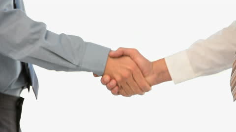 Business Cooperation with Professional Handshake