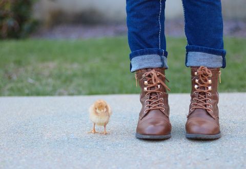 Brown Boots and Chick on Pavement Highlighting Outdoor Style