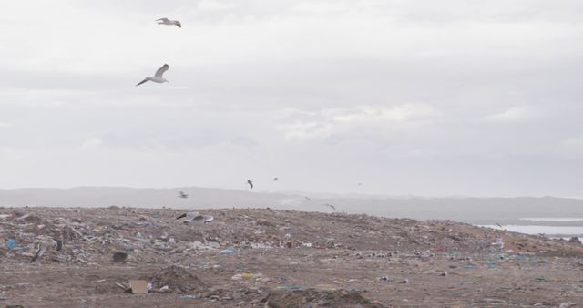 Seagulls are flying over a large landfill filled with waste. The sky is cloudy, adding a somber mood to the scene. This image can be effectively used to highlight issues related to environmental pollution, waste management, or the impact of human activities on nature.