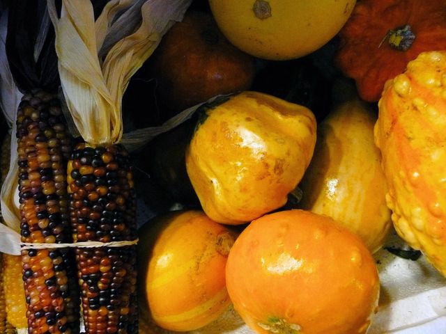Assorted decorative gourds and Indian corn with vivid colors, indicative of the autumn season. Useful for seasonal decoration ideas, agricultural and harvest themes, rustic decor concepts, festive fall displays, and natural artistic inspiration.
