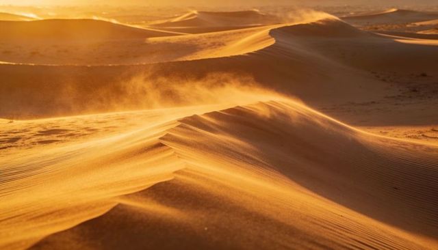 Sunlit sand dunes glowing in golden hour, wind-blown plumes shaping rippled desert crests