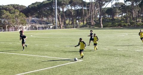 Soccer Match on Sunny Day Showcasing Teamwork and Athleticism
