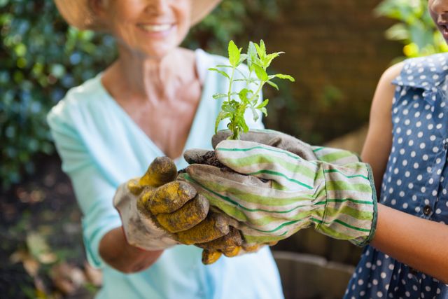 Grandmother and granddaughter holding a young plant in a backyard, symbolizing family bonding and environmental care. Ideal for use in articles or advertisements about gardening, family activities, sustainability, and intergenerational relationships.