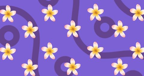 Vibrant Floral and Geometric Patterns on Purple Background