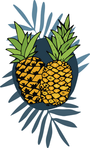 transparent pineapple drawing bold tropical illustration - Download Free Stock Videos Pikwizard.com