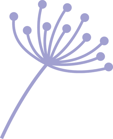 Purple dandelion seed head illustration on transparent background