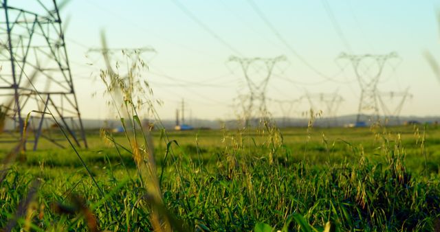 Electrical power lines and pylons stretch across a green field bathed in warm light at sunset. Ideal for use in content related to energy production, renewable energy, environmental impact of industry, power infrastructure, and rural development.