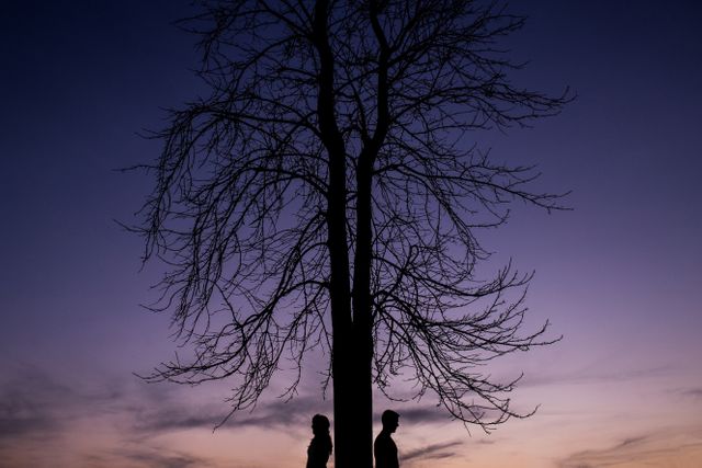 Couple standing back to back under bare tree during sunset creating a silhouette against twilight sky. This image symbolizes relationships, distance, emotional moods. Ideal for use in emotional storytelling, nature themes, or relationship-focused content.