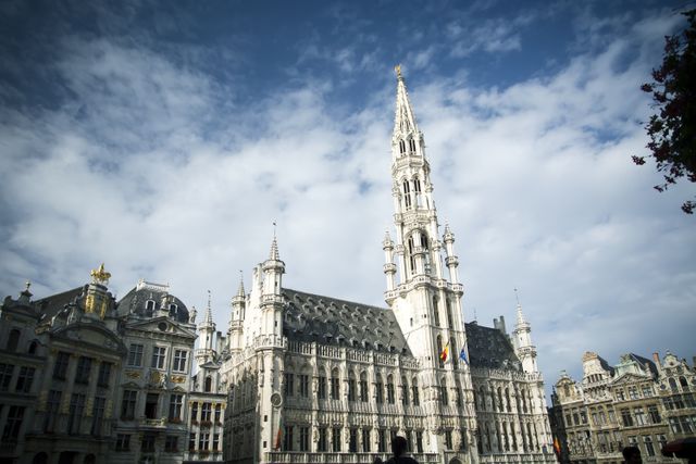 Depicting the Grand Place in Brussels under a clear blue sky. This UNESCO World Heritage site showcases Gothic architecture and historic buildings, ideal for use in travel blogs, tourism advertisements, European heritage articles, and promotional material for Belgian tourism.