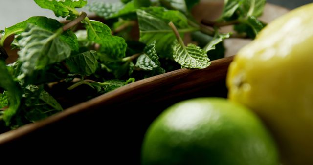 This closeup image showcases fresh mint leaves accompanied by a lemon and lime, perfect for culinary or beverage-related content. Suggested use includes articles, blogs, and social media posts focusing on healthy recipes, natural ingredients, and organic lifestyle tips.