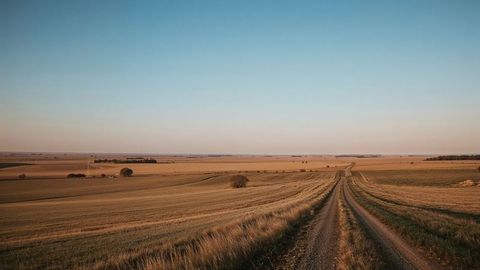 Long country nebraska road through expansive golden fields at sunset