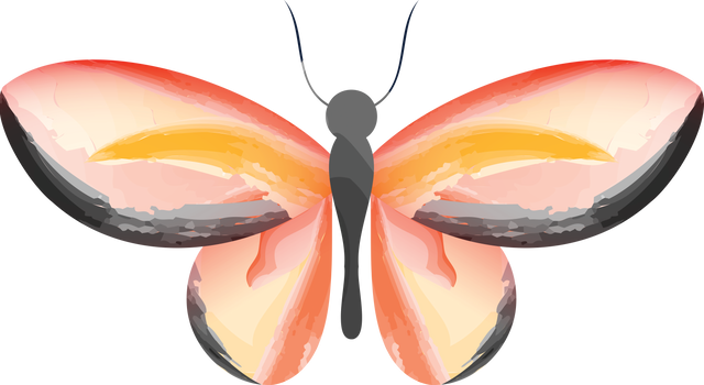 Colorful Butterfly Illustration on Transparent Background Isolated Vector - Download Free Stock Videos Pikwizard.com