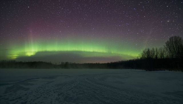 Aurora arching over frozen lake under starry sky with mist and silhouetted trees