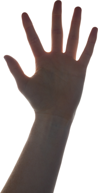 Hand positioned upwards with all fingers spread out to signify a stop gesture. Useful for illustrating warning signs, alert prompts, or messages needing attention. Ideal for designs requiring a simple and effective communication of restriction or a pause notification across commercial, educational, and instructional materials.