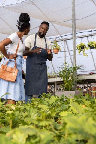 African american nursery owner explaining plant care to customer in sunlit greenhouse
