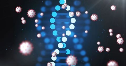 Viral Interaction with DNA Helix in Microbiology Study