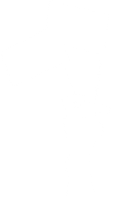 Transparent Hand Raising Flags for Freedom Concepts - Download Free Stock Videos Pikwizard.com