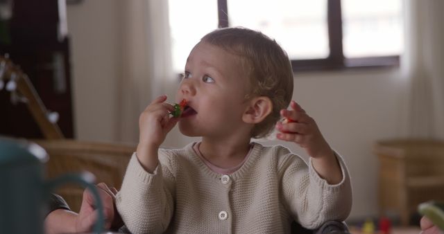 Toddler Enjoying Snack Time at Home, Looking Curious - Download Free Stock Images Pikwizard.com