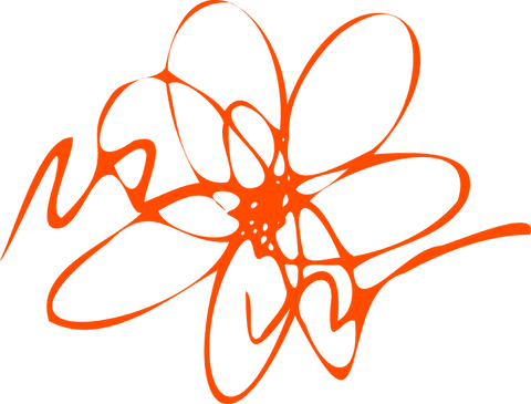 abstract orange flower line art on transparent background - Download Free Stock Videos Pikwizard.com