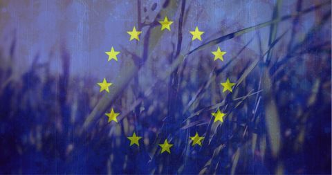 European union flag overlayed on serene cornfield landscape